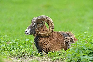 《传说之下》团队新作《Deltarune：第二章》上线 9月17日发布