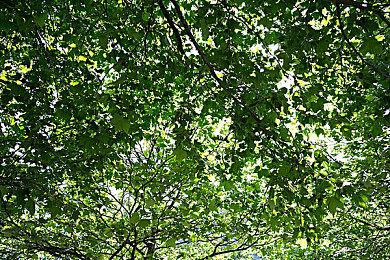 《四海兄弟》开发商发布招聘信息 或已开始计划新作！