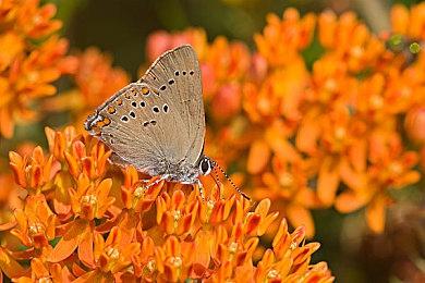 顶级合作生存建造游戏《非生物因素》发布正式版 Steam在线人数达2万